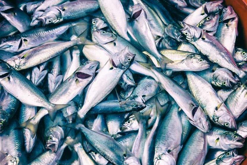 Güneşten sonra en fazla D vitamini bu besinde Salgın sürecinde mutlaka tüketin