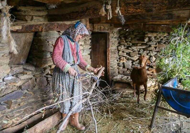 İzmirin hayalet köyü: Lübbey Sadece 5 kişi kaldı