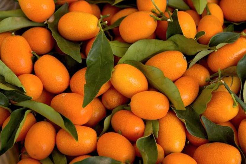 Akciğer kanserine karşı koruyucu etkisi kanıtlandı İyi gelmediği şey yok
