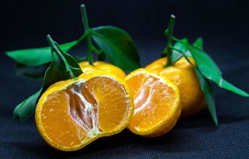 Akciğer kanserine karşı koruyucu etkisi kanıtlandı İyi gelmediği şey yok