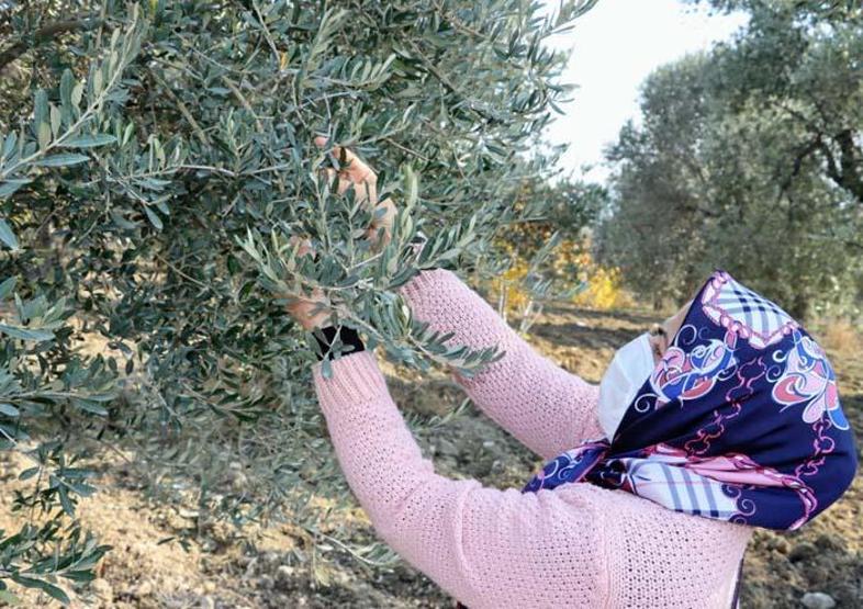 Koronavirüse karşı etkili Virüsün vücuda zarar vermesini engelliyor