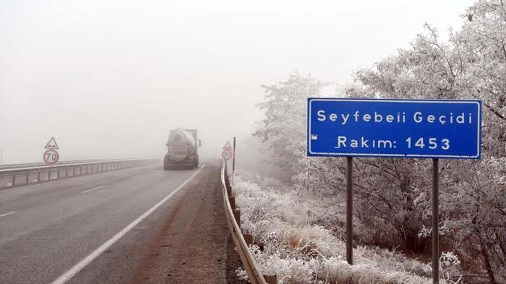 Sivasta kırağı tutan bitkiler ve sis görsel şölen sundu