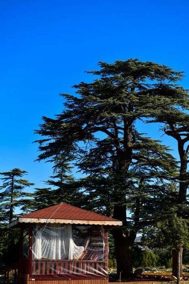 Türkiye’nin yerleşim yeri bulunan tek göl adası