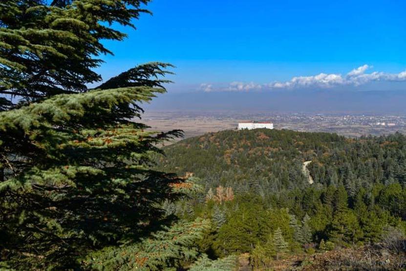 Türkiye’nin yerleşim yeri bulunan tek göl adası
