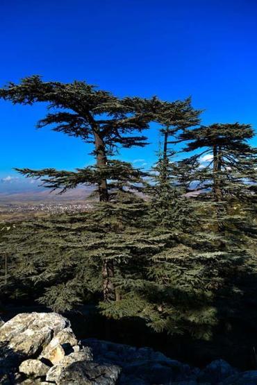 Türkiye’nin yerleşim yeri bulunan tek göl adası