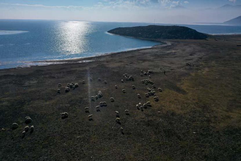 Türkiye’nin yerleşim yeri bulunan tek göl adası