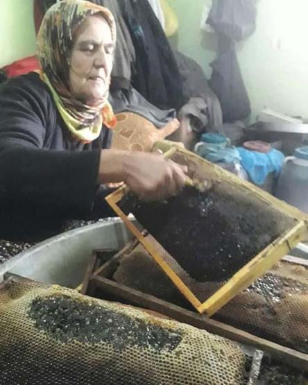 Hatayın şifa kaynağı Bağışıklığı güçlendiriyor