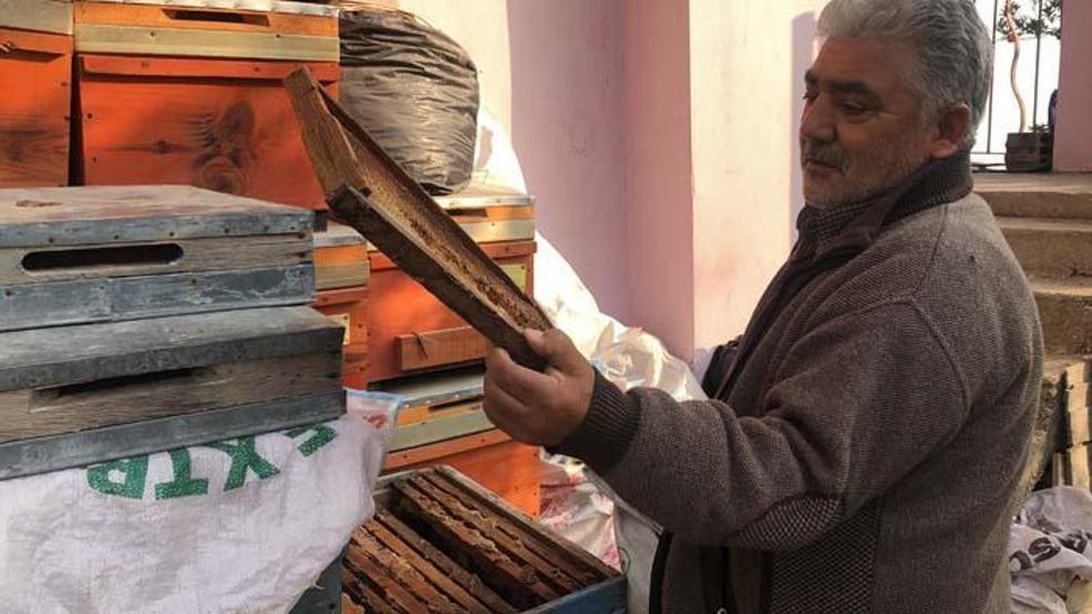 Hatayın şifa kaynağı Bağışıklığı güçlendiriyor