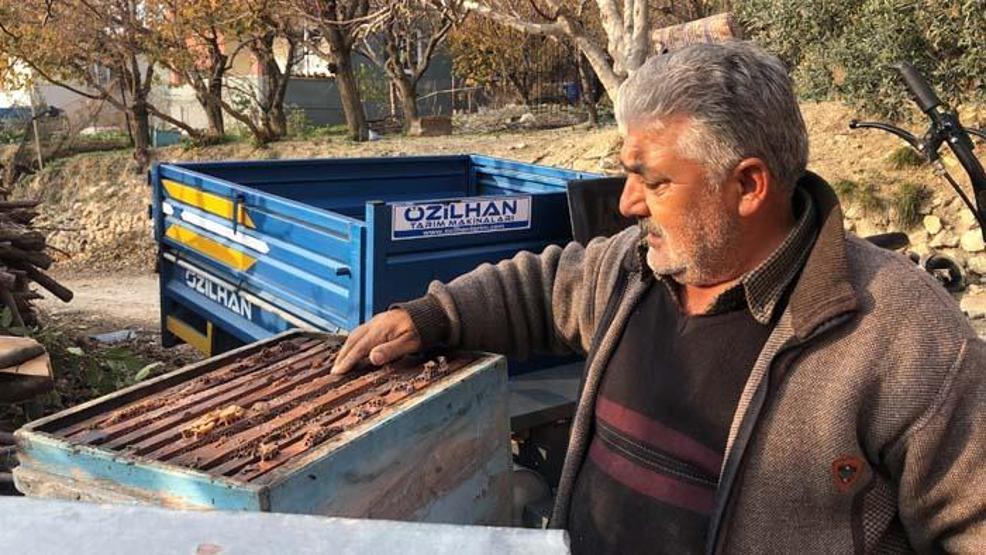 Hatayın şifa kaynağı Bağışıklığı güçlendiriyor