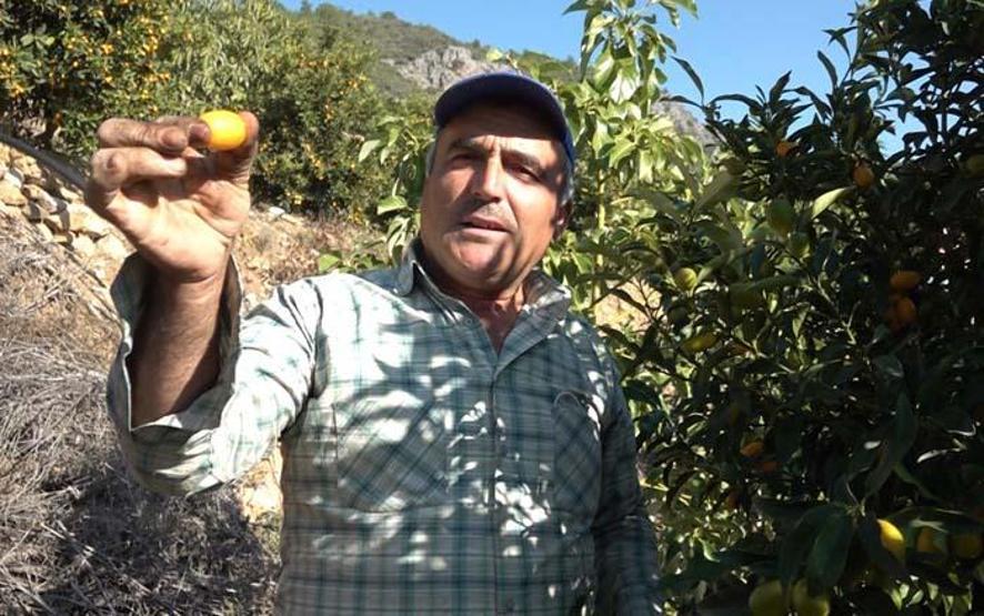 Vitamin ve mineral deposu Koronavirüs sürecinde yoğun ilgi görüyor