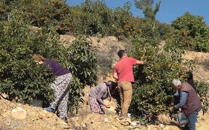 Vitamin ve mineral deposu Koronavirüs sürecinde yoğun ilgi görüyor