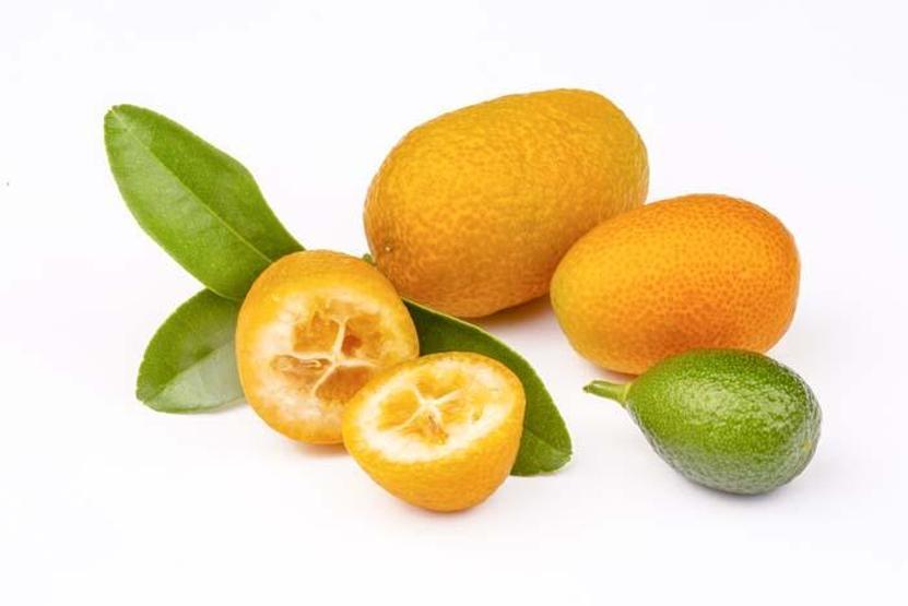 Vitamin ve mineral deposu Koronavirüs sürecinde yoğun ilgi görüyor