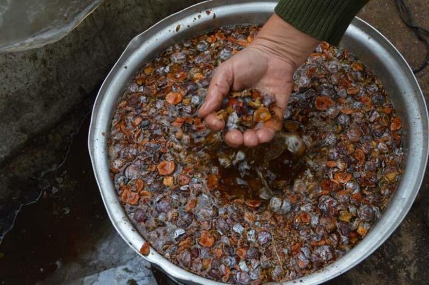 Bir kaşığında bile sayısız faydası var Koronavirüsten korunmak için talep patladı