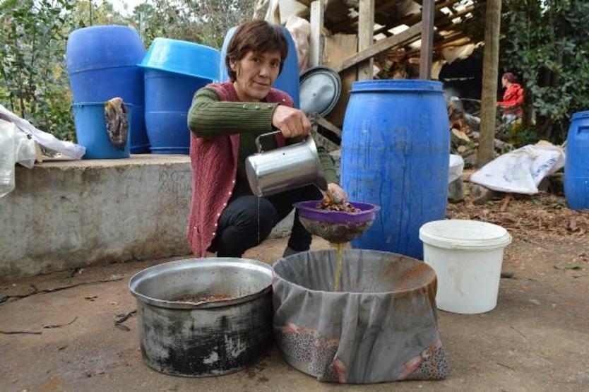 Bir kaşığında bile sayısız faydası var Koronavirüsten korunmak için talep patladı