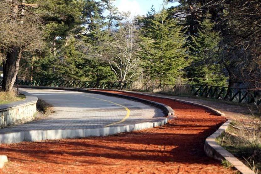 Tatilciler kısıtlamada otelden çıkamadı, Abant Tabiat Parkı boş kaldı