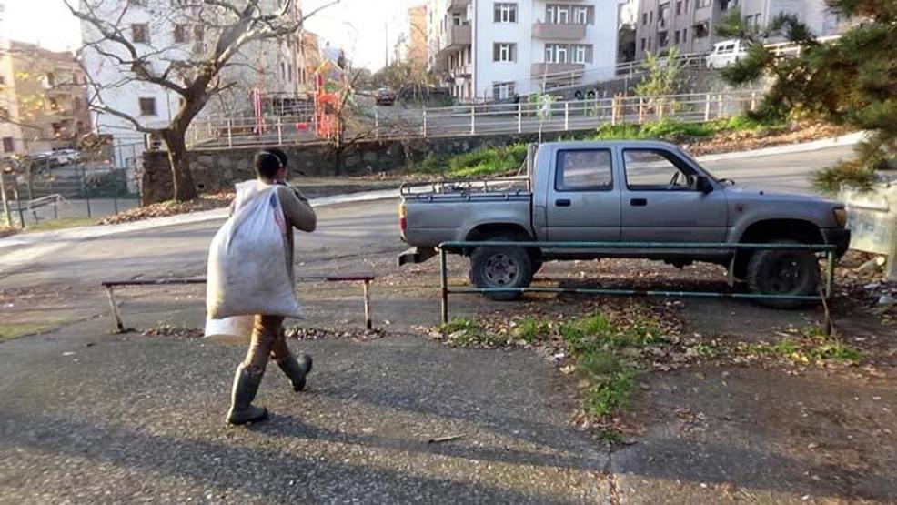 Aralık ve Ocak aylarında toplanıp ormana dikiliyor Yaban hayatı için çok önemli