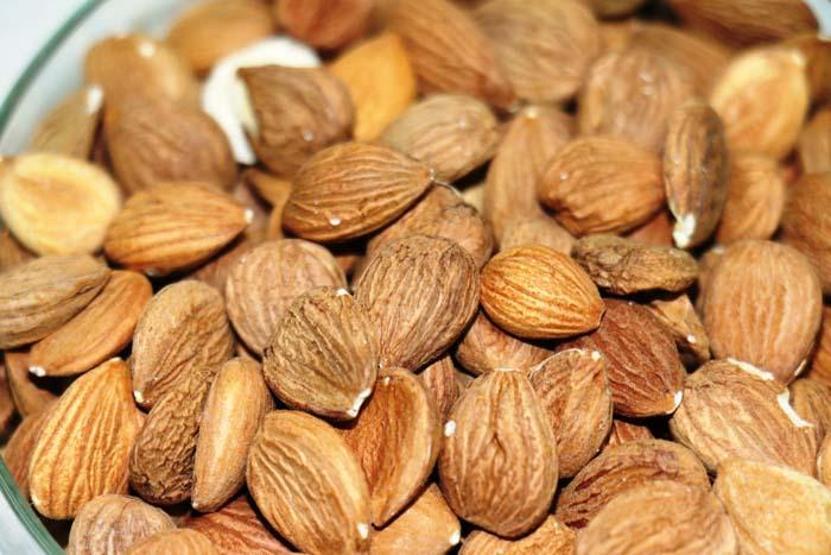 Kayısının çekirdeği de şifa deposu çıktı Günde 10 tane yediğimizde...