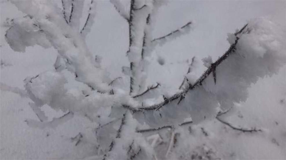 Karsta kırağı güzelliği Eşsiz görüntüler oluştu