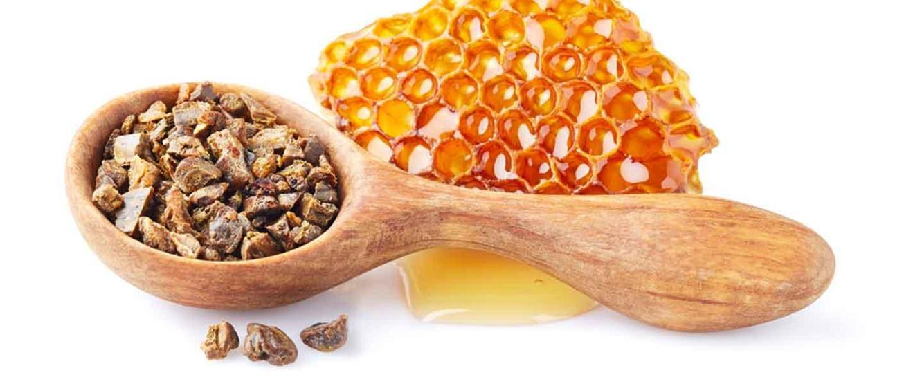 Propolisin kilosu 10 bin liraya dayandı