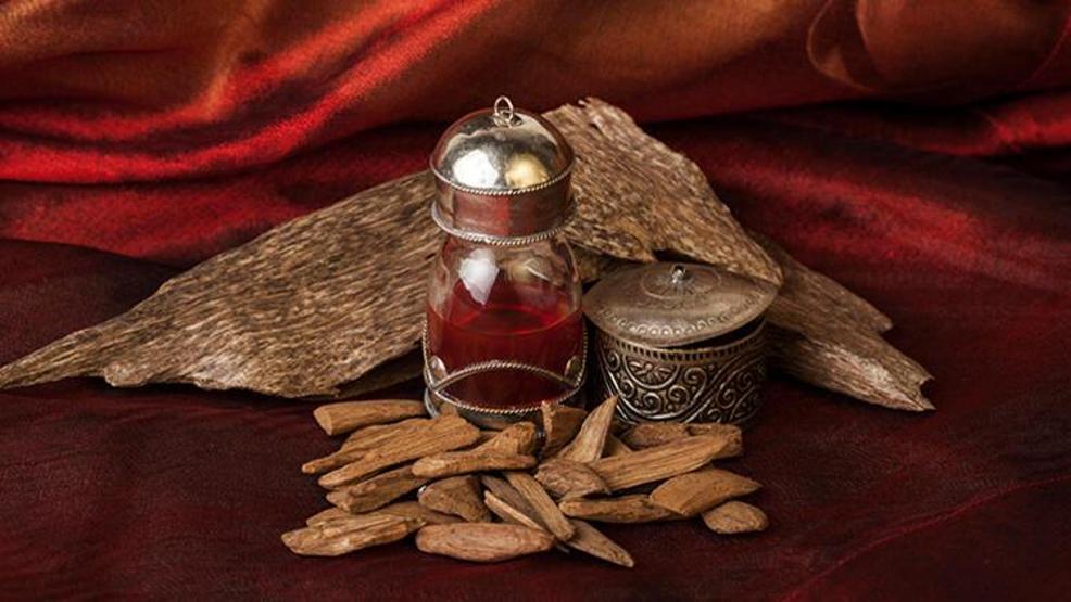 Bilinen en güçlü doğal antibiyotik: Udi Hindi bitkisinin faydaları neler