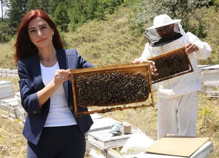 Prof. Dr. Ulviye Kumova: Arıların Covid- 19u tespiti konusunda bir test ve araştırma yapılmalı