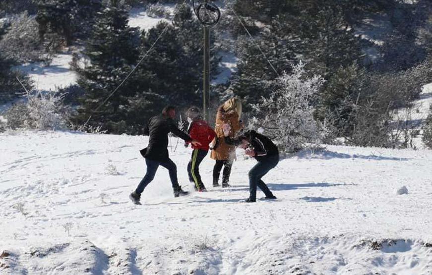 Kuş cenneti Yayla Gölü buz tuttu
