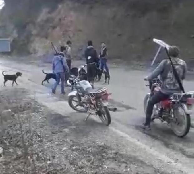 Yaraladıkları yavru domuzu köpeklere parçalattılar