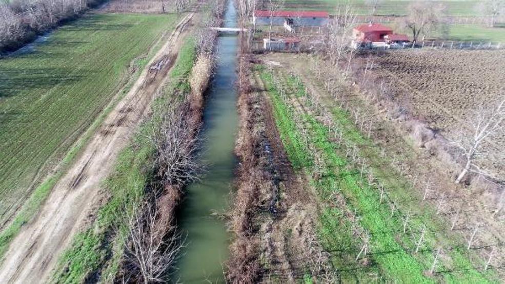 Binlerce su maymunu taşkın nedeniyle Edirneye geldi