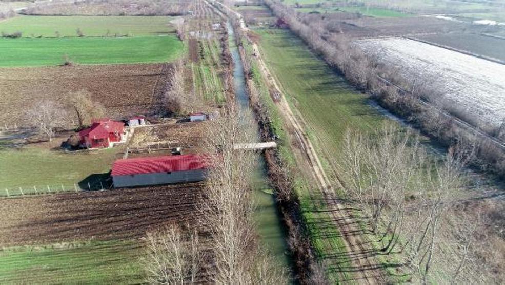 Binlerce su maymunu taşkın nedeniyle Edirneye geldi