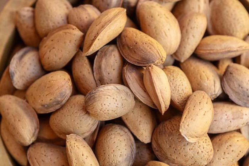 Severek tüketiliyor Bunama riskini azalttığı ortaya çıktı