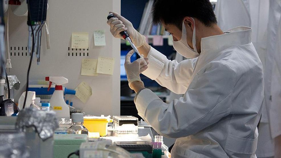 Koronavirüs aşılarının başarısı kanser ve HIV aşısı için umut oldu