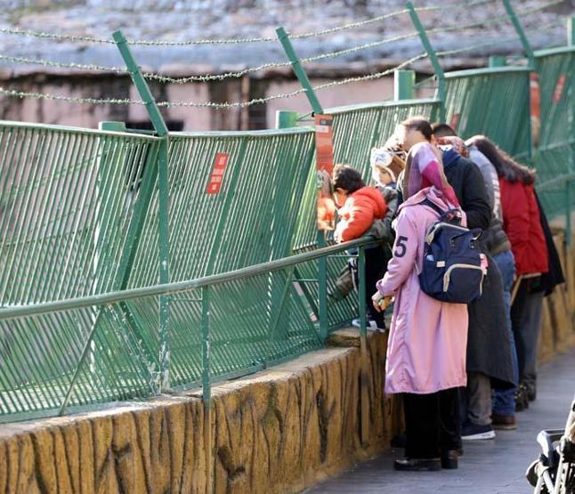 Türkiyenin en büyük hayvanat bahçesinde hedef 5 milyon ziyaretçi