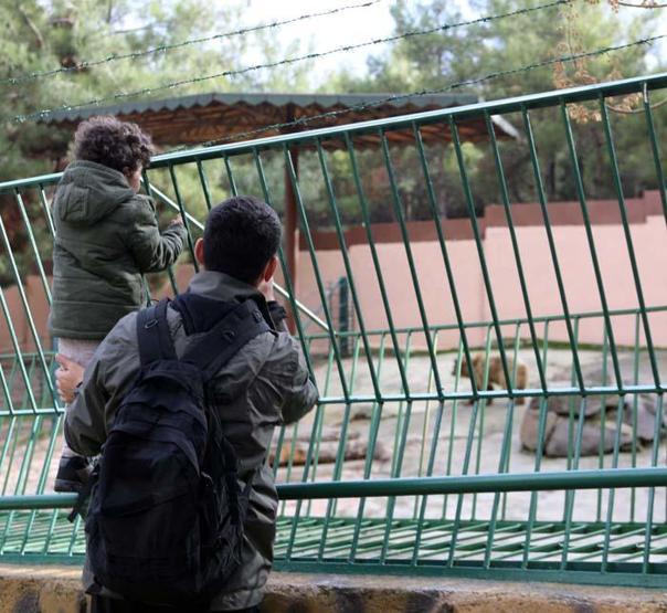 Türkiyenin en büyük hayvanat bahçesinde hedef 5 milyon ziyaretçi