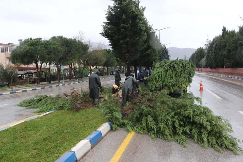 Manisada lodos minare devirdi, çatıları uçurdu
