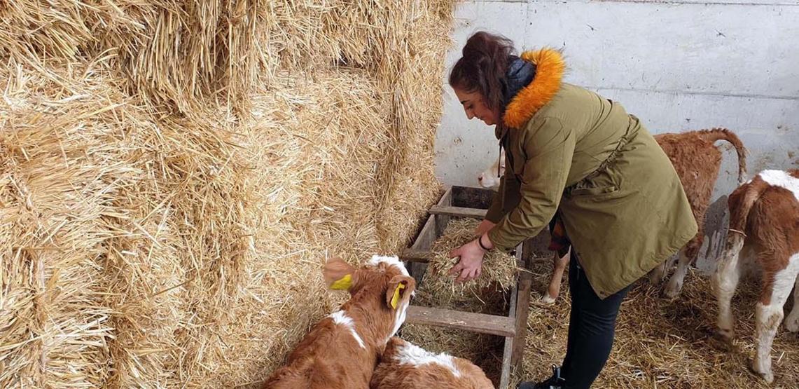 Öğretmenliği bırakıp çiftlik kurdu, şimdi hedefi daha çok istihdam sağlamak