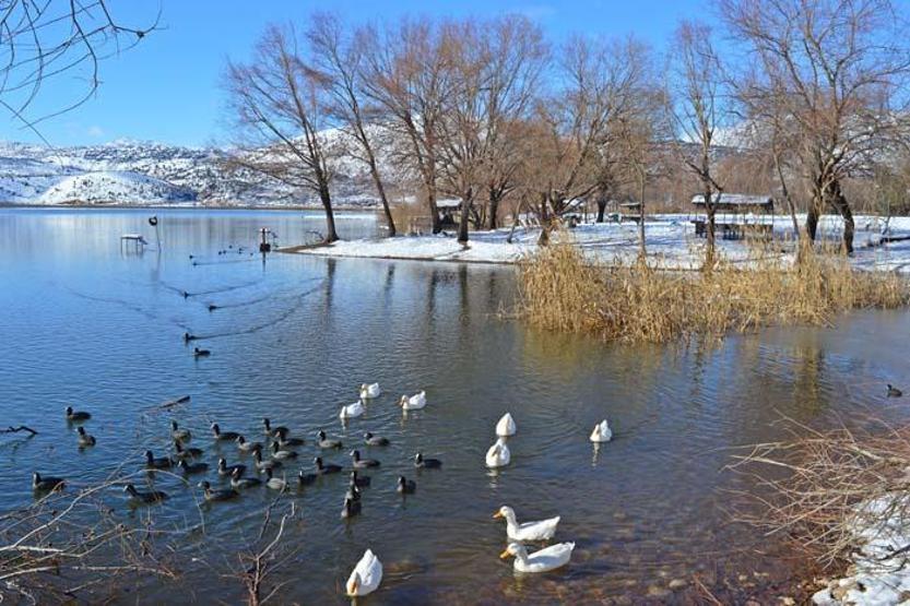 Gölbaşı Gölleri Tabiat Parkında kış güzelliği