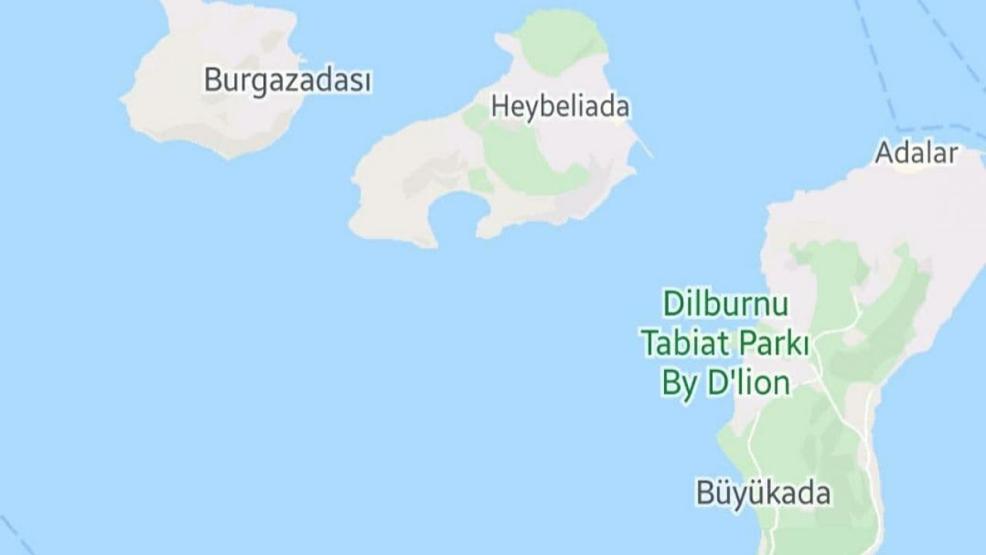 SON DAKİKA: İstanbulun ilçe ilçe koronavirüs haritası