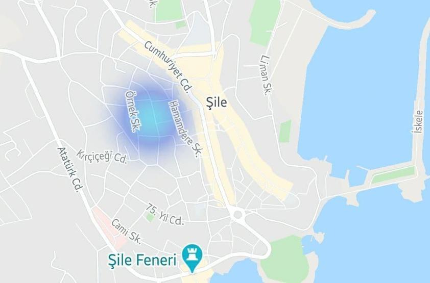 SON DAKİKA: İstanbulun ilçe ilçe koronavirüs haritası