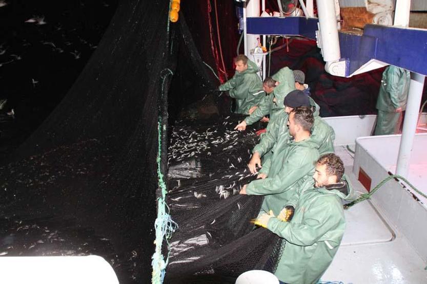 Son dakika haberi... Yeniden başladı Balıkçılar vira bismillah dedi