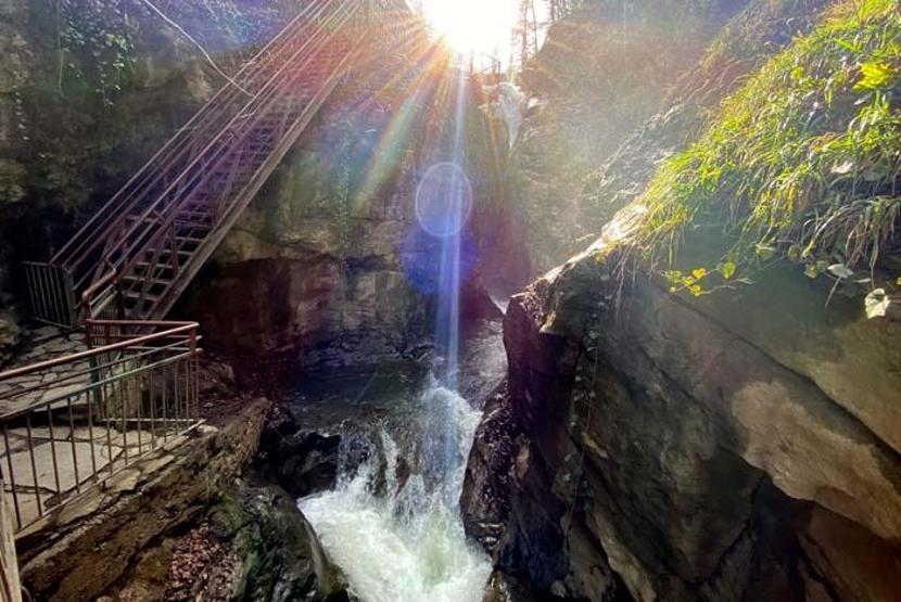 Batı Karadeniz yaylalarında renk cümbüşü