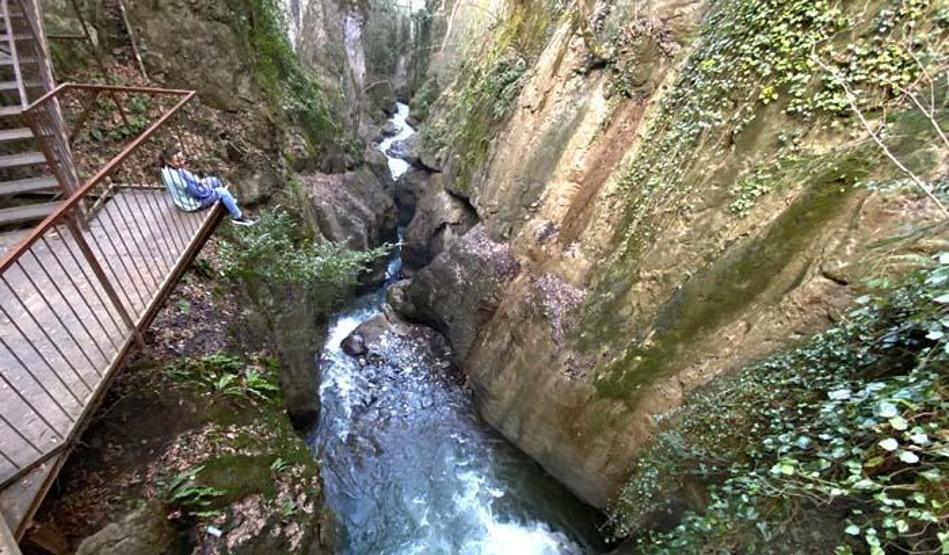 Batı Karadeniz yaylalarında renk cümbüşü
