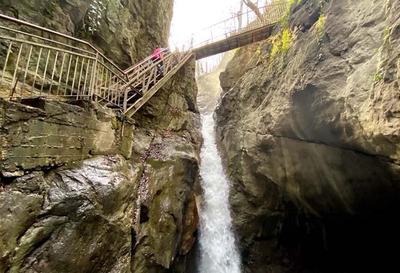 Batı Karadeniz yaylalarında renk cümbüşü
