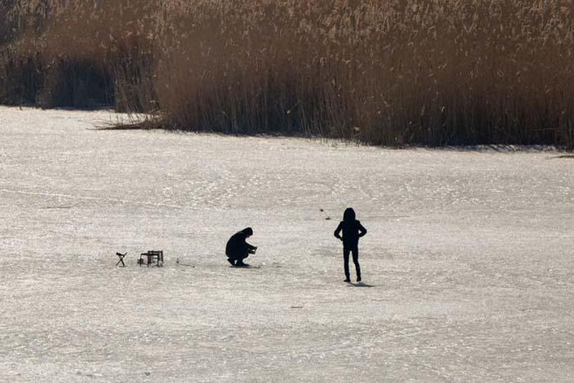 Vanda donan sazlıklar balıkçıların ve fotoğraf tutkunlarının uğrak yeri oldu