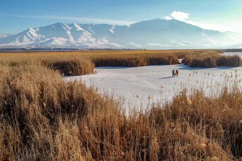 Vanda donan sazlıklar balıkçıların ve fotoğraf tutkunlarının uğrak yeri oldu