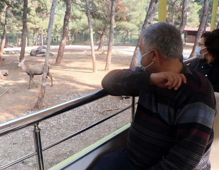 Türkiyenin ilk ve tek safari parkına yoğun ilgi