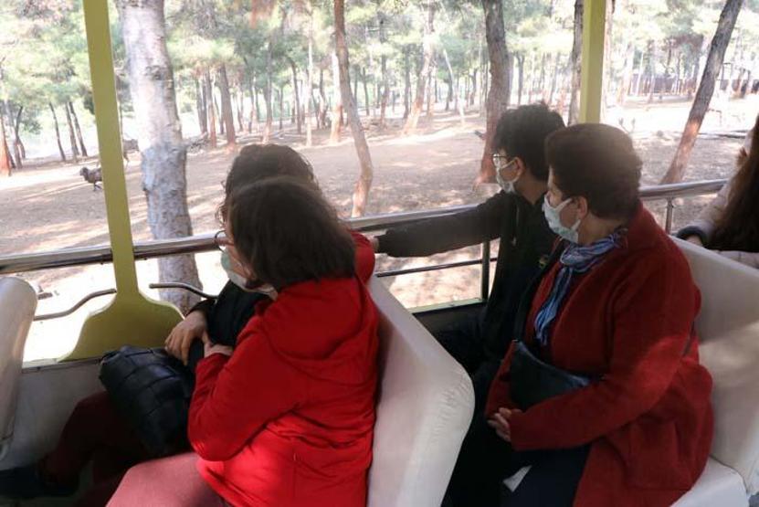 Türkiyenin ilk ve tek safari parkına yoğun ilgi