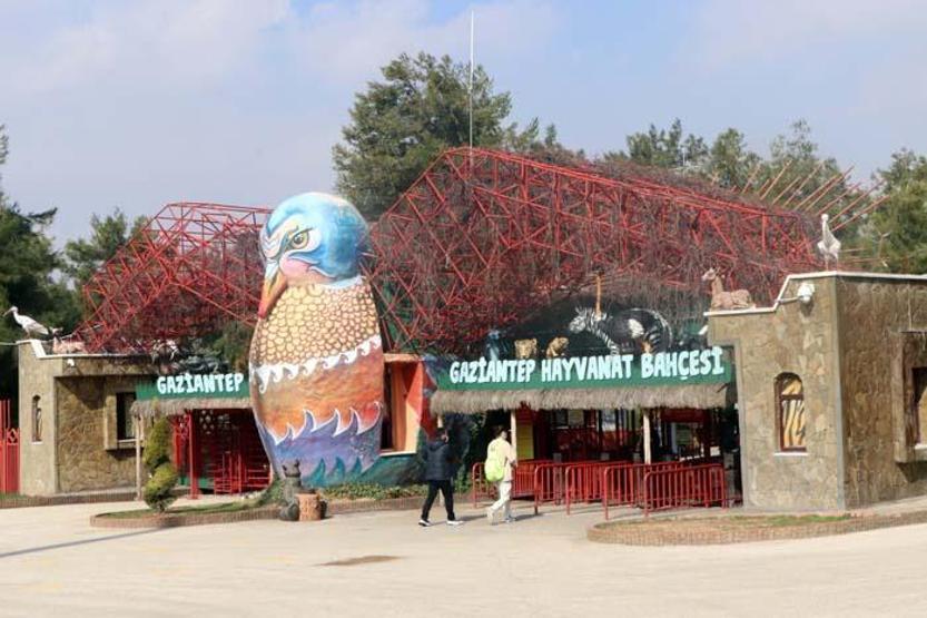Türkiyenin ilk ve tek safari parkına yoğun ilgi