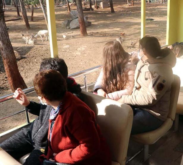 Türkiyenin ilk ve tek safari parkına yoğun ilgi