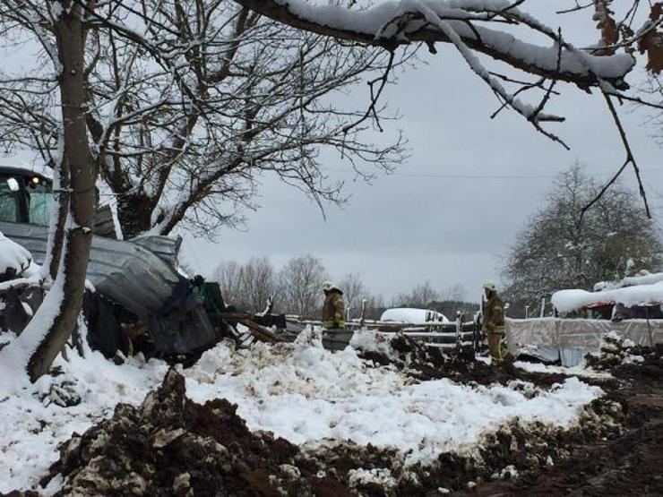 Şilede ahır çöktü: Hayvanlar enkaz altında kaldı