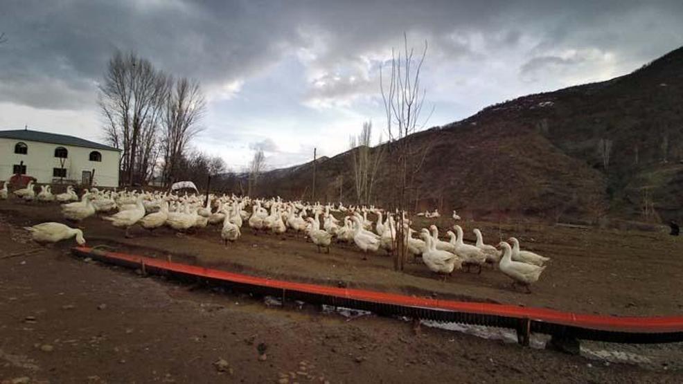 Yapamazsın diyenlere inat tüm birikimini bu işe yatırdı Şimdi talebe yetişemiyor